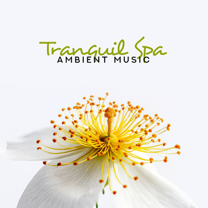 Moonlight on the Water