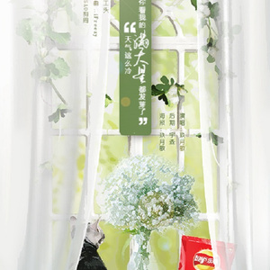 天气这么冷你看我的满天星都发芽了