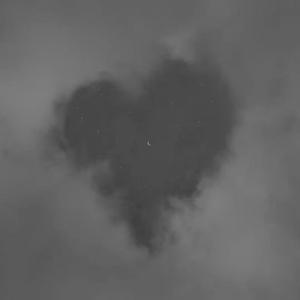 假装2（翻自 姜 云 升）