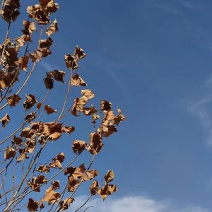 那些没有被听到的话