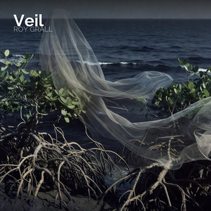 Veil