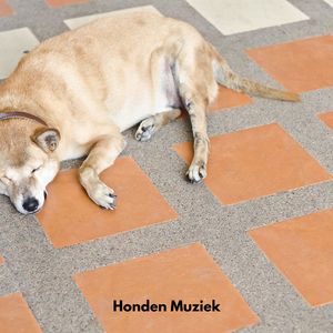 Honden Sereniteit Suite