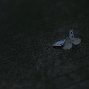 定义你的身份