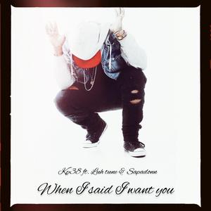 When i said i want you (feat. SapaDonn & Luh Tune)