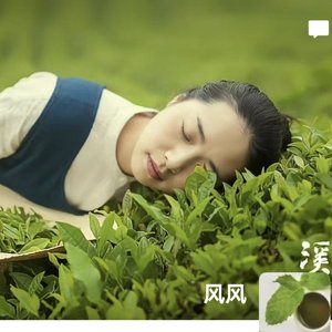 释放春之生命力