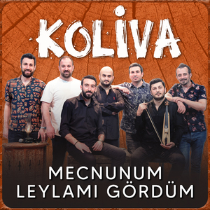 Mecnunum Leylamı Gördüm (Akustik)