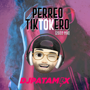 Perreo Tiktokero (2022 Mix)