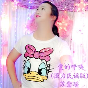 爱的呼唤(强力民谣版) 伴奏