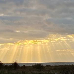 Head Thunder 2 (feat. Weakme)