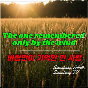 바람만이 기억한 한 사람