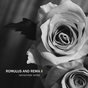 Saint Brigid's Cross