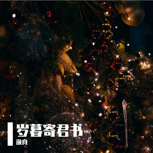 岁暮寄君书