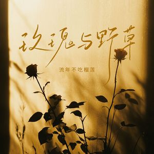 玫瑰与野草(和声伴奏)