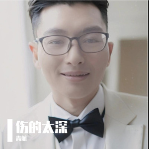 伤的太深 伴奏