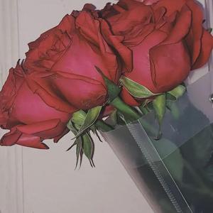 一·月（Prod.Kayzee/CuD）