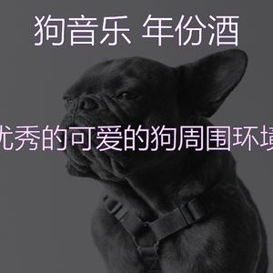 微妙的可爱的狗心情