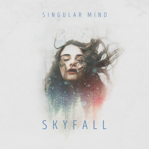Skyfall (Original Mix)