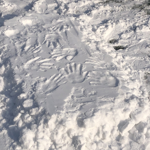 底牌（cover：-Max李玄/邹沛沛））