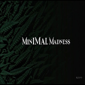 minimal madness