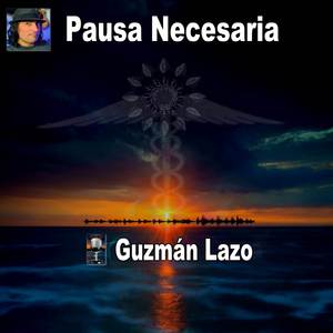 Pausa Necesaria