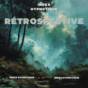 Rétrospective