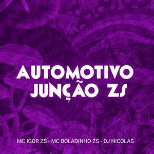 AUTOMOTIVO JUNÇÃO ZS