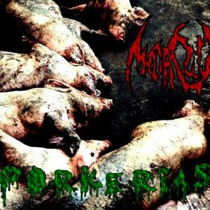 S. A. E. G. E. H. B. C. S. T (Chupakawas)