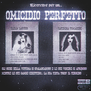 l'omicidio perfetto
