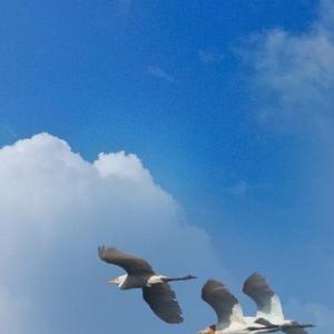 怪时间很不凑巧