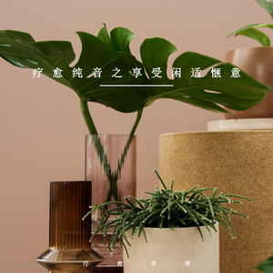 休憩一刻 (舒缓纯音乐)