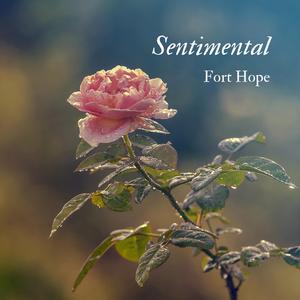 Sentimental