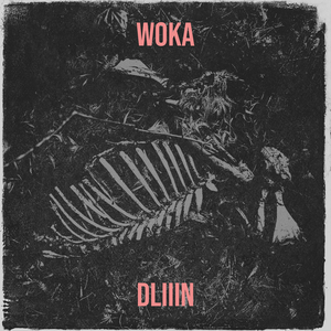 Woka
