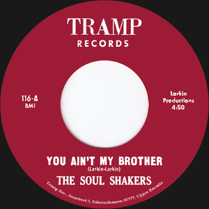 You Ain't My Brother (70's Version)