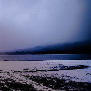 Morose