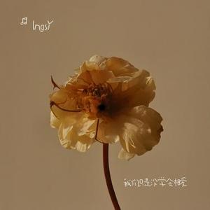 我们只是没学会相爱