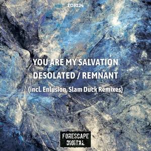 Desolated (Enlusion's Old Harbour Remix)