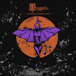 Никогаш нема да те видам