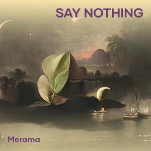 Say Nothing
