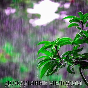 Лирика ливня