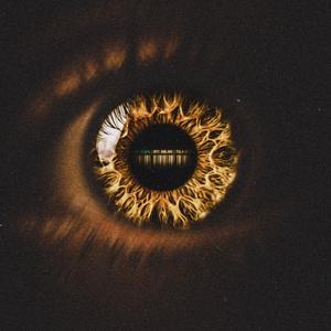 The Price Of a Soul