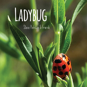 Ladybug