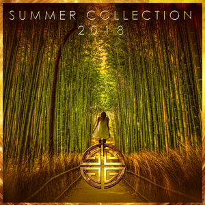 Transmit (Original Mix)