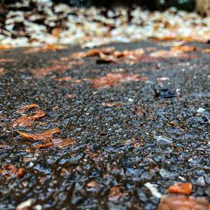 StudioEIM-Maple Story(Remake)（雲海之上 remix）