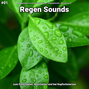 Regen Sounds, pt. 1