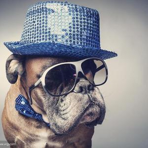 GOUZI-LOVESONG（JoY / GOUZI / MengggE remix）