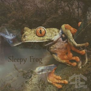 Sleepy Frog