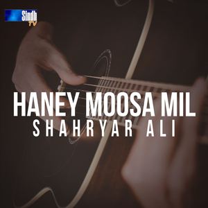 Haney Moosa Mil