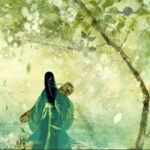 天上掉下个林妹妹