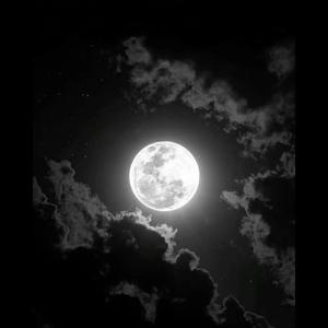 That-Midnight-Control