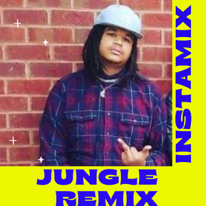 JUNGLE (InstaMIX)